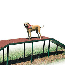 Bark Park